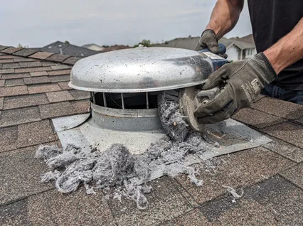Cleaning Dryer Vent On Roof in Lakeland Village